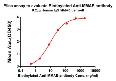 antibody-dme101006b mmae elisa1