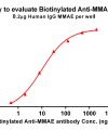 antibody-dme101007b mmae elisa1