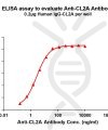 antibody-dme101023 cl2a elisa1