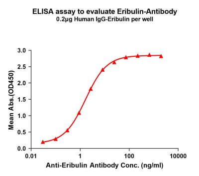 antibody-dme101047 eribulin elisa1