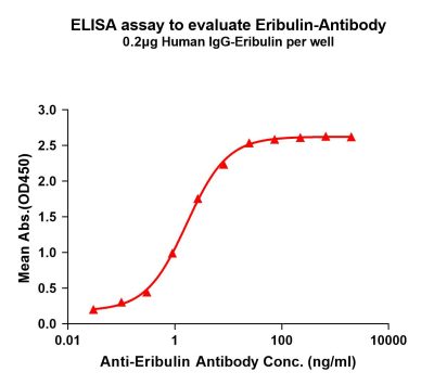 antibody-dme101049 eribulin elisa1