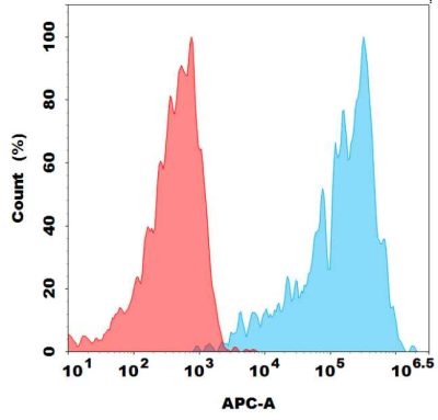 antibody-dme101144 g4s fc1