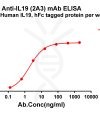 antibody-dme101184 il19 elisa1