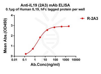 antibody-dme101184 il19 elisa1