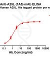 antibody-dme101187 a29l elisa1