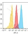 antibody-dme101218 cd9 fc1