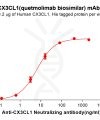 Elisa-bme100259 cx3cl1 elisa1