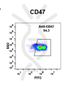 FC-BME100001 Anti CD47daratumumab biosimilar mAb FLOW Fig1 A