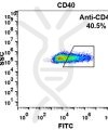 FC-BME100020 Anti CD40 iscalimab biosimilarmAb FLOW Fig2 A