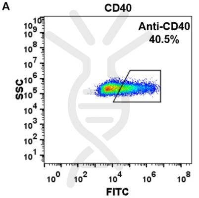 FC-BME100020 Anti CD40 iscalimab biosimilarmAb FLOW Fig2 A