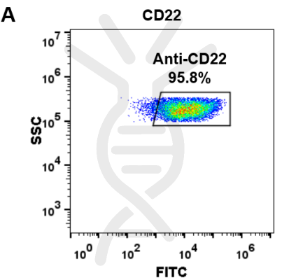 FC-BME100029 Anti CD22 pinatuzumab vedotin biosimilar mAb FLOW Fig2 A