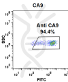 FC-BME100040 Anti CA9 girentuximab biosimilar mAb FLOW Fig1 A