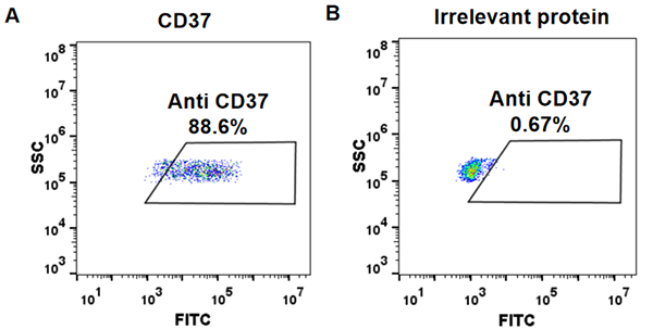 BME100046-Anti-CD37-naratuximab-biosimilar-mAb-FLOW-Fig1.png