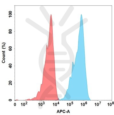 FC-BME100048 BM100 FACS转染ERBB2 Fig.2