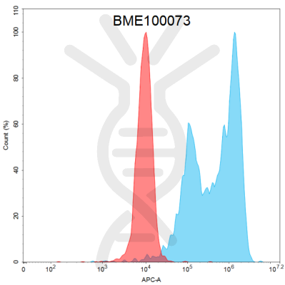 FC-BME100073 BM116 flow转染ROR1