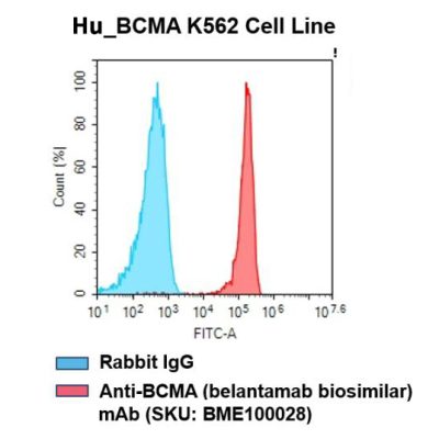 fc-cel100002 h bcma k562 cell line flow