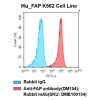 fc-cel100004 h fap k562 cell line flow