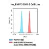 fc-cel100056 hu enpp3 cho s cell line flow