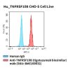 fc-cel100064 hu tnfrsf10b cho s cell line flow