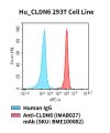 fc-cel100067 hu cldn6 293t cell line flow