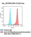 fc-cel100079 hu cd79b cho s cell line flow