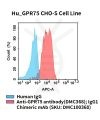 fc-cel100092 hu gpr75 cho s cell line flow