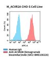 fc-cel100094 m acvr2a cho s cell line flow