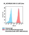 fc-cel100095 m acvr2b cho s cell line flow