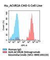 fc-cel100097 hu acvr2a cho s cell line flow