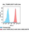 fc-cel100098 hu tshr 293t cell line flow