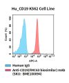 fc-cel100102 hu cd19 k562 cell line flow