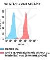 fc-cel100107 hu steap1 293t cell line flow