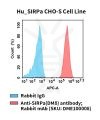 fc-cel100115 hu sirpa cho s cell line flow