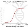 elisa-FLP100110 CLPTM1 Fig.1 Elisa 1