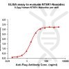 elisa-FLP100131 NTSR1 Fig.1 Elisa 1
