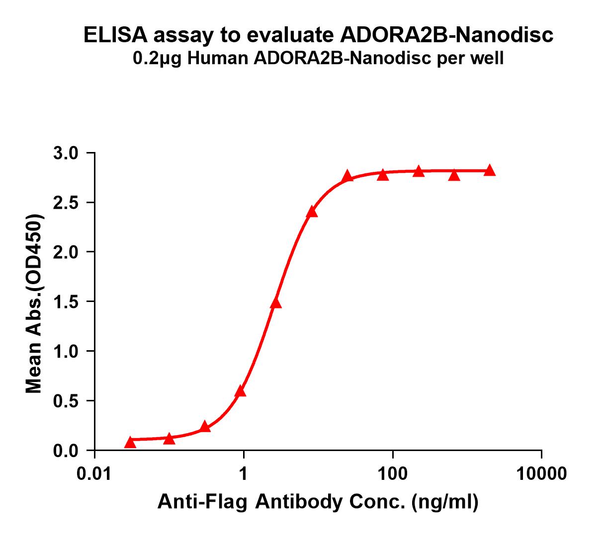 flp100093-adora2b-elisa1.jpg