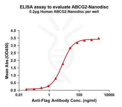 elisa-flp100497 abcg2 elisa1