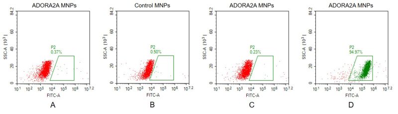 fc-FLP100019 ADORA2A Fig.2 FC 1