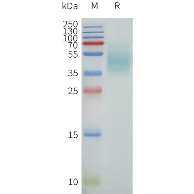 page-flp120238 ffar4 sp1