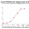 sp-PME100559 GPRC5D Fig.3 Elisa 2