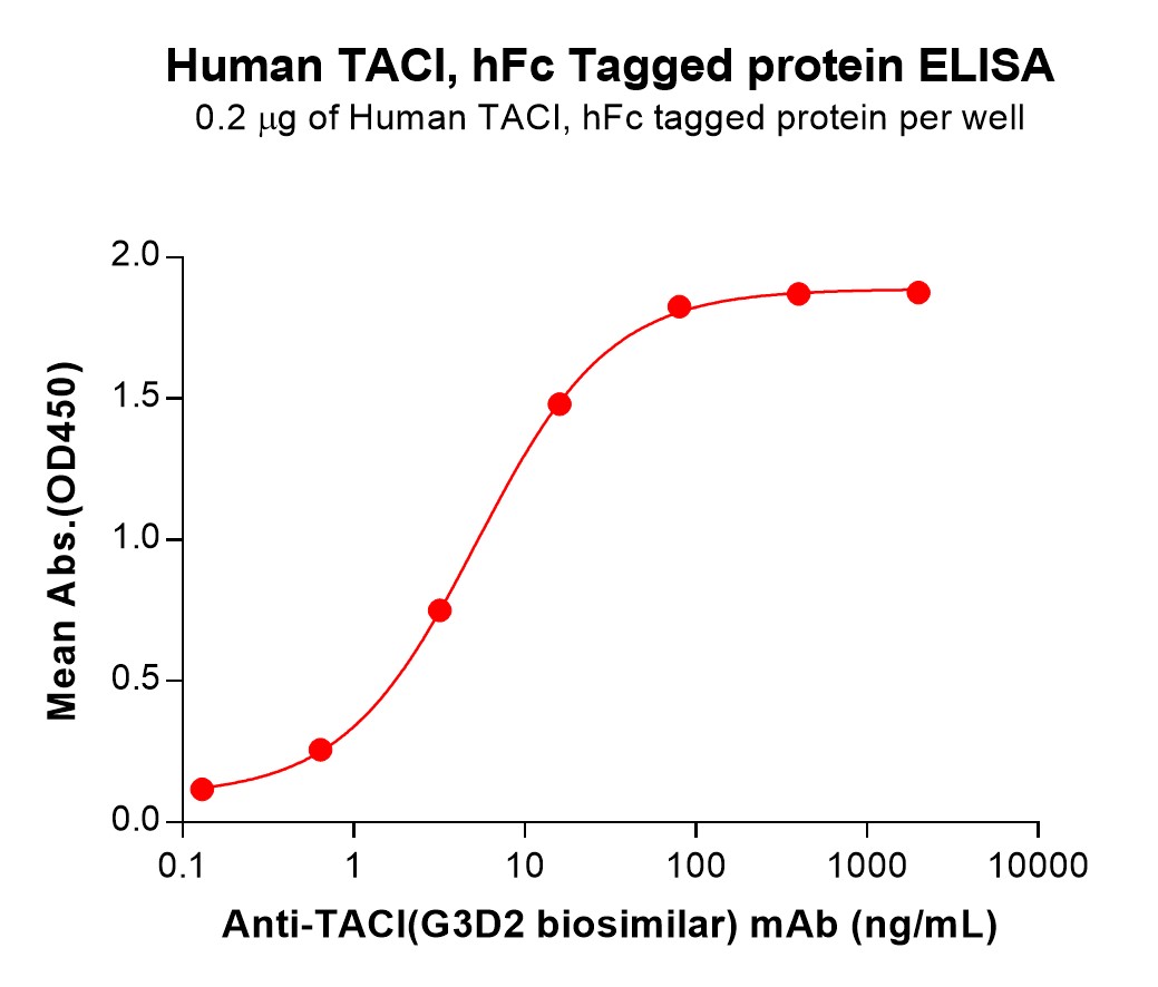 pme100094-taci-elisa2.jpg