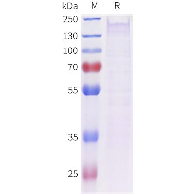 sp-pme c100084 sez6 sp1