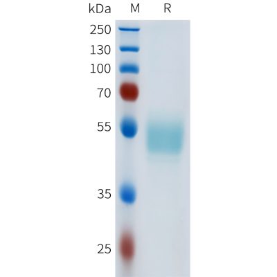 sp-pme101620 cd117 sp1