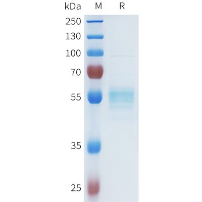 sp-pme101628 asgr1 sp1