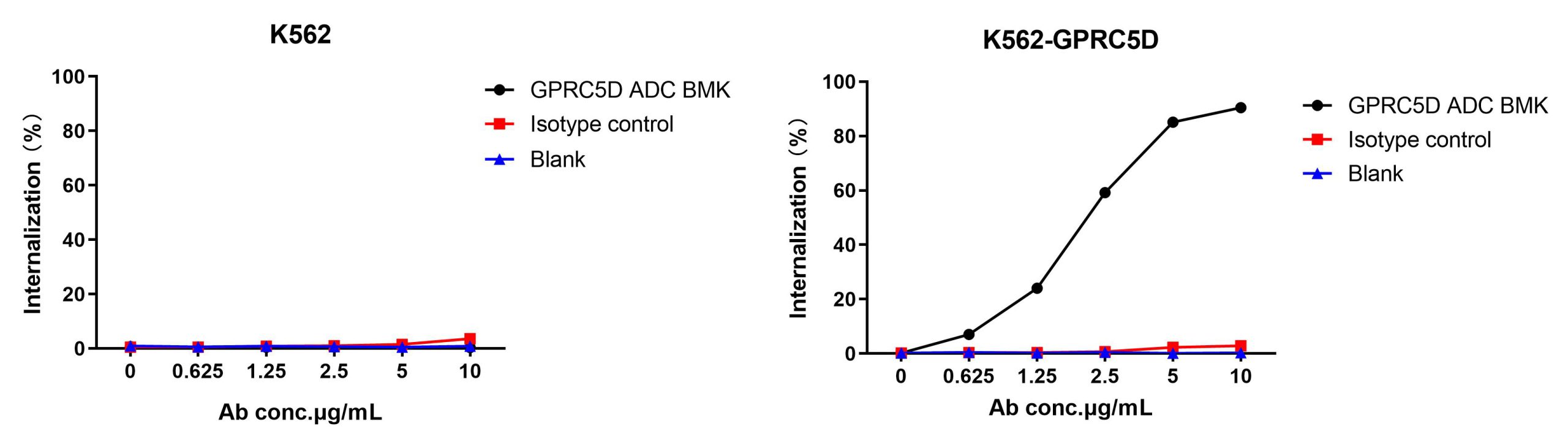 The fluorescent signal from GPRC5D ADC BMK-AME100002 conjugate is only detected in GPRC5D positive cells (K562-GPRC5D stable expression cell line), indicating specific internalization.