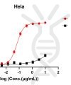 reagents-ame100003 internalization of labeled b7h3 adc antibody cck8