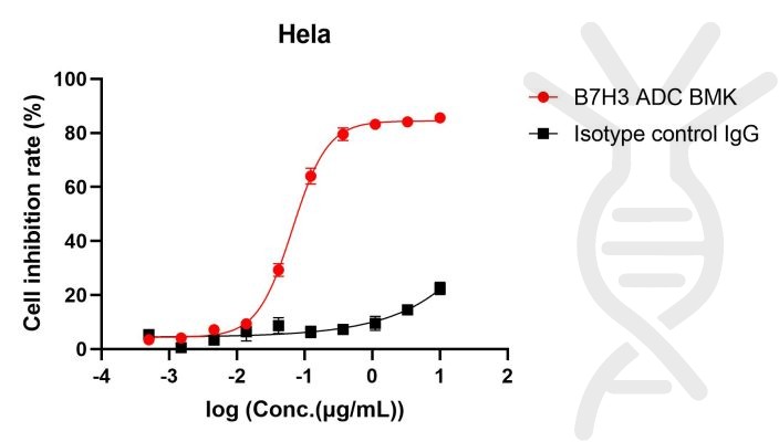 reagents-ame100003 internalization of labeled b7h3 adc antibody cck8